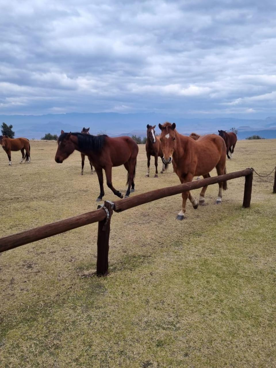 Affittacamere Drakensberg Mountain Retreat Bergville Esterno foto