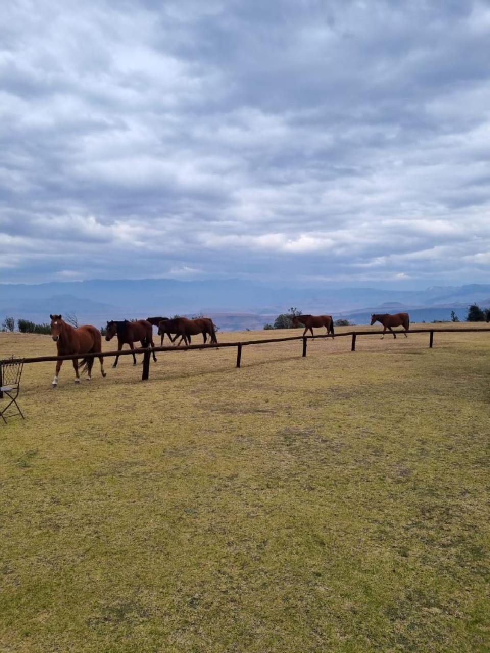 Affittacamere Drakensberg Mountain Retreat Bergville Esterno foto
